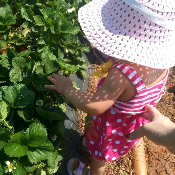 Meet your Posher, Maria - Picture 1 of 1